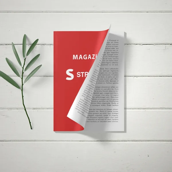 Magazine